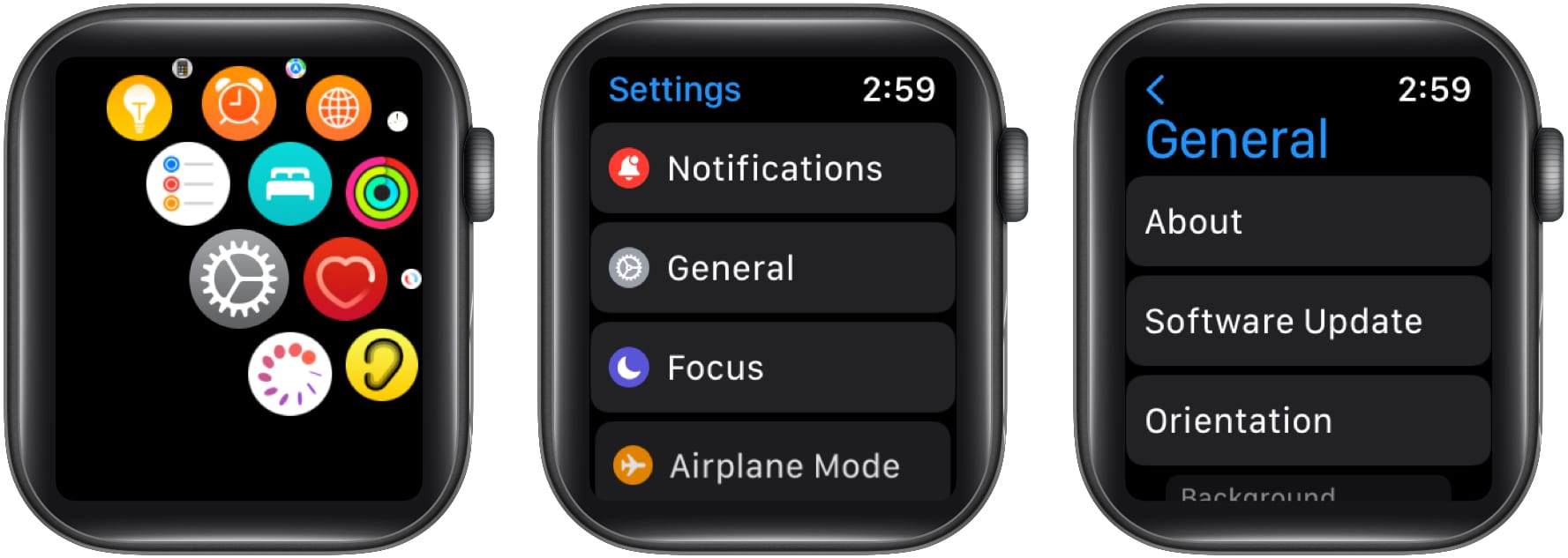 Elija Actualización de software desde la configuración general de Apple Watch