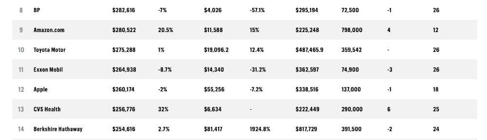 Extracto de la lista 500 que muestra Amazon y Apple